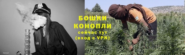 ешки Пестово
