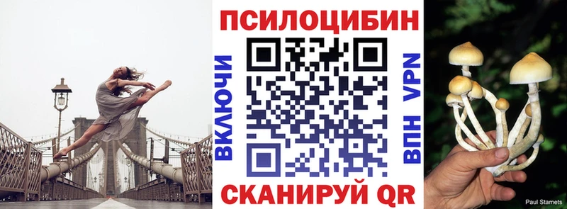 Псилоцибиновые грибы Cubensis Курчатов