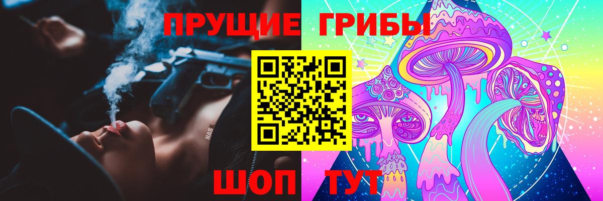 Галлюциногенные грибы Psilocybine cubensis Курчатов