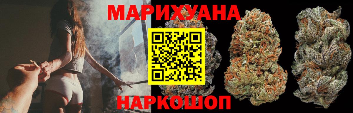 Бошки марихуана конопля Курчатов
